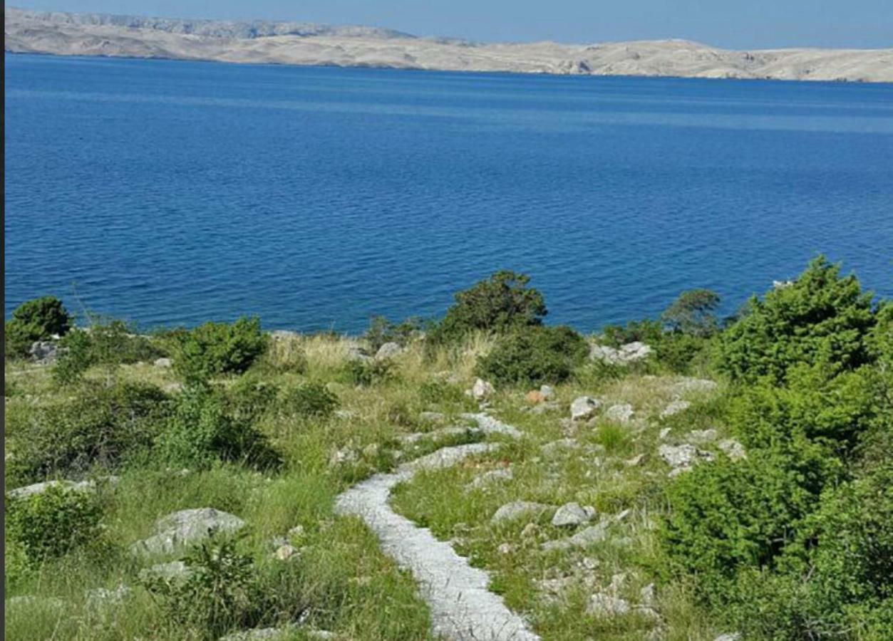 Villa Lilly Cesarica Εξωτερικό φωτογραφία